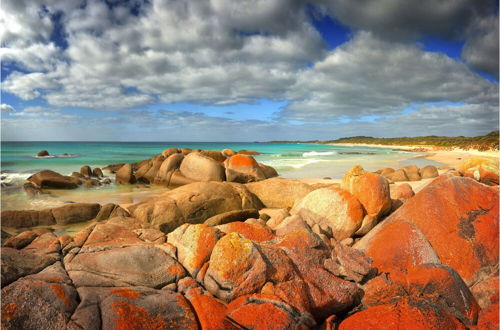 Foto 40 - King Island Accommodation Cottages