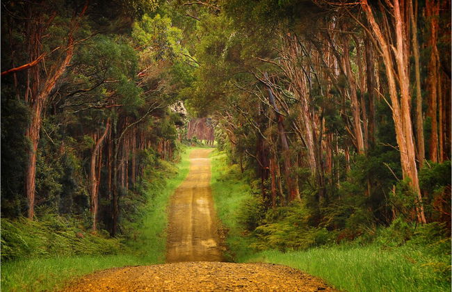 King Island Accommodation Cottages - Foto 46