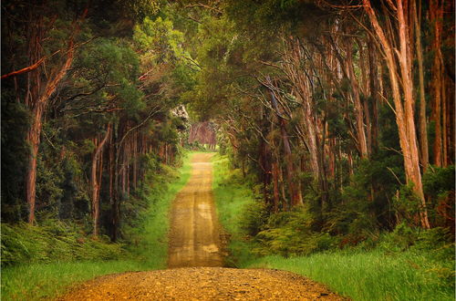 Foto 46 - King Island Accommodation Cottages