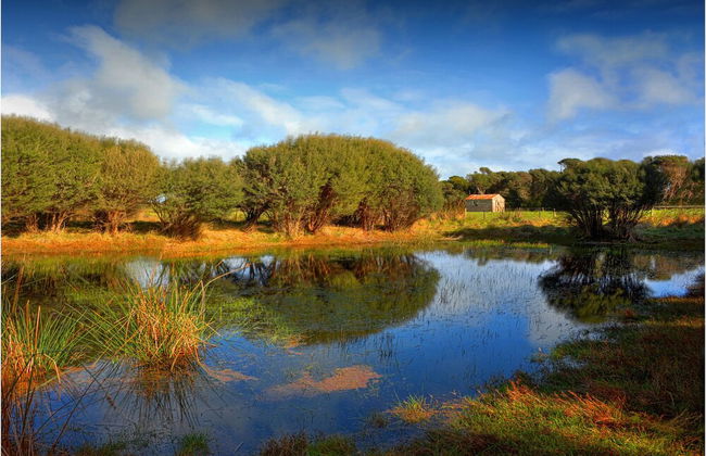 King Island Accommodation Cottages - Foto 43