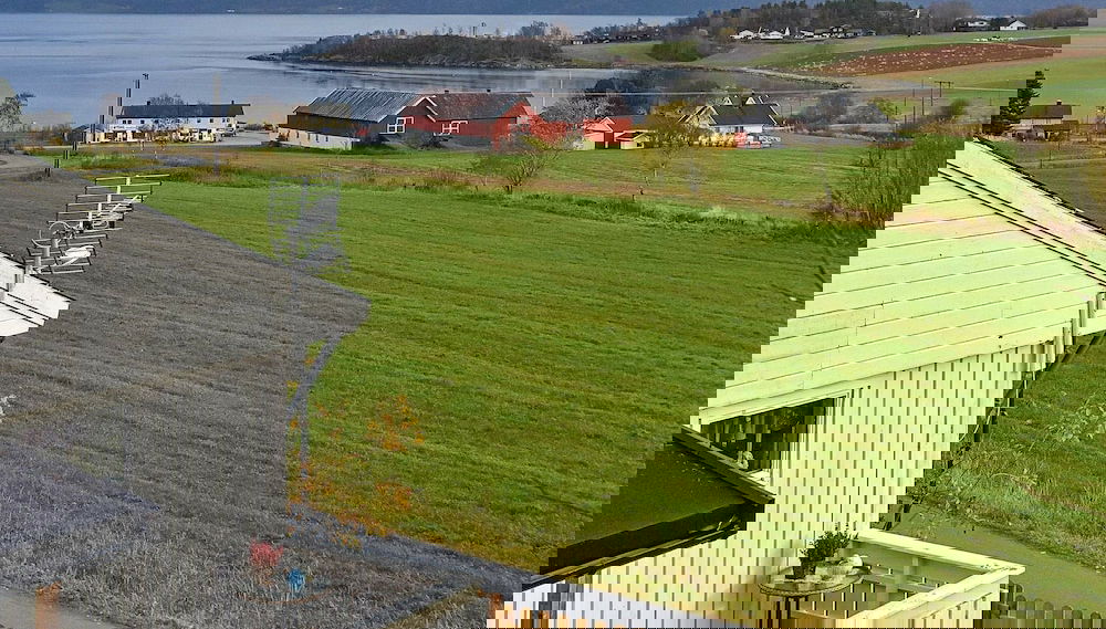 Primary image