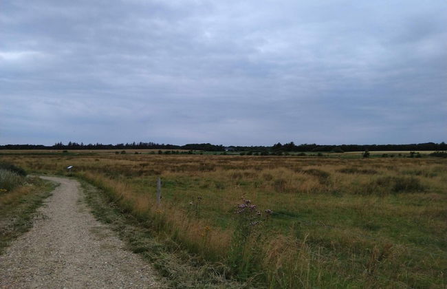 5 Person Holiday Home in Esbjerg V-by Traum - Photo 7