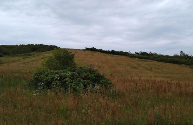 5 Person Holiday Home in Esbjerg V-by Traum - Photo 9