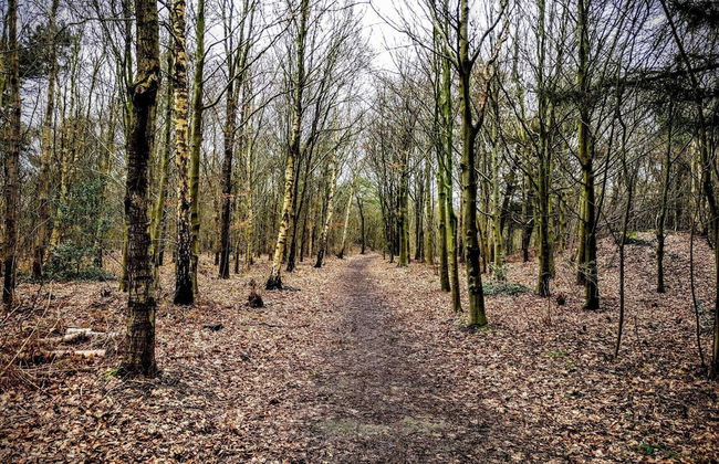 5 Person Holiday Home in Esbjerg V-by Traum - Photo 6