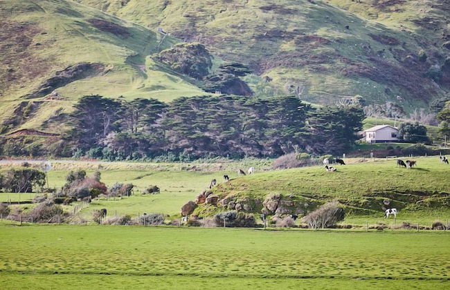 Great Ocean Walk Retreat - Foto 24
