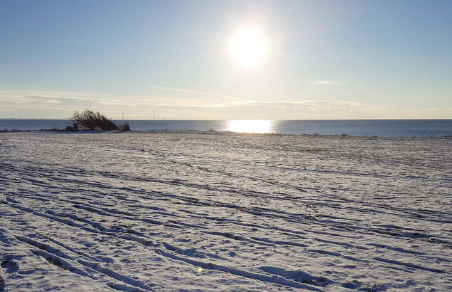 4 Person Holiday Home in Slagelse - Foto 24