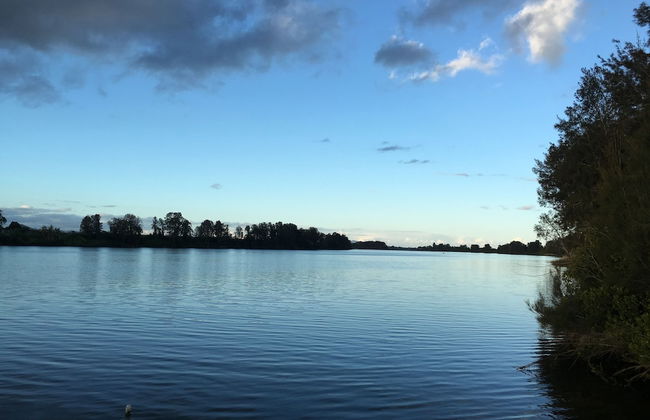 Mansfield on the Manning - Foto 39
