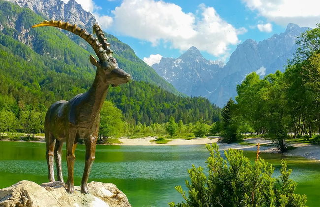 Alpine Retreat Gaja Kranjska Gora - Foto 18