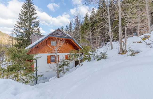 Alpine Retreat Gaja Kranjska Gora - Foto 27