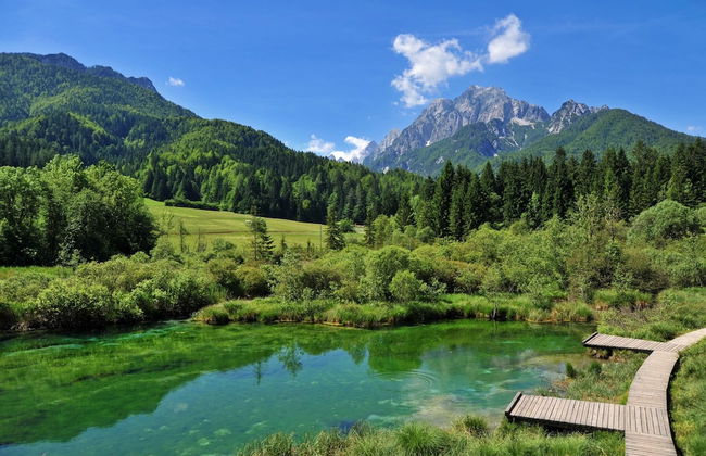 Alpine Retreat Gaja Kranjska Gora - Foto 19