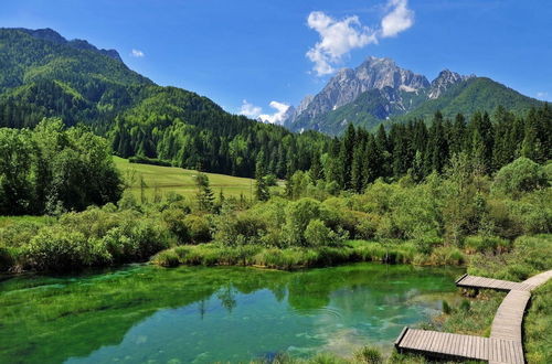 Photo 19 - Alpine Retreat Gaja Kranjska Gora