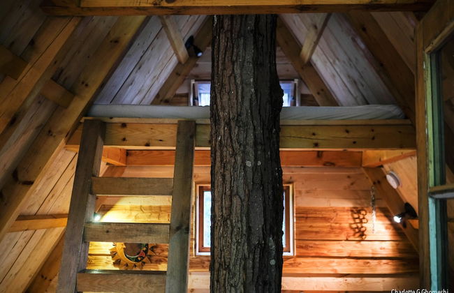 Chimo Refuges Treehouse Resort - Foto 32