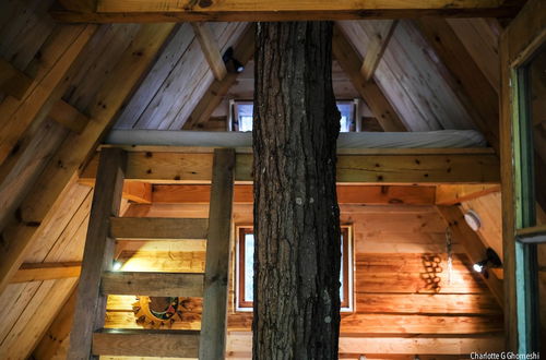 Photo 32 - Chimo Refuges Treehouse Resort