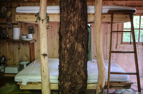 Photo 17 - Chimo Refuges Treehouse Resort