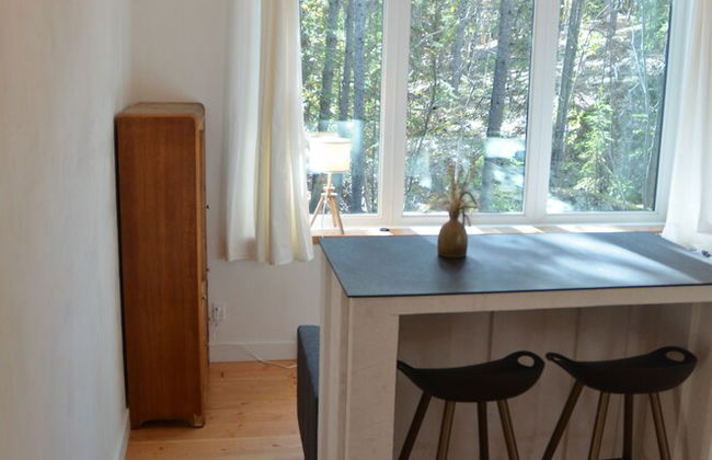 Yukon Black Spruce - Foto 6