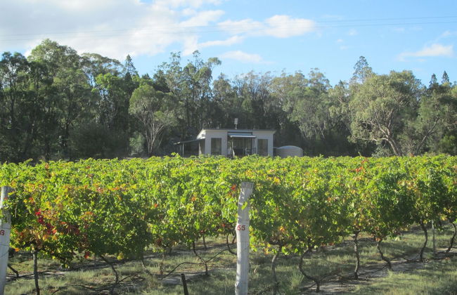 Just Red Wines Vineyard Cabins - Foto 1