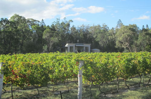 Foto 1 - Just Red Wines Vineyard Cabins