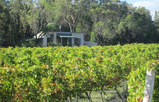 Foto 2 - Just Red Wines Vineyard Cabins