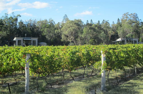 Foto 9 - Just Red Wines Vineyard Cabins