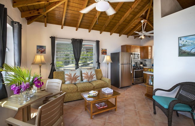 White Bay Villas and Beach Club - Foto 27