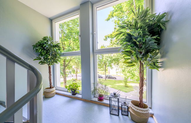 DG Links 40m 2-Zimmer Wohnung - Foto 12
