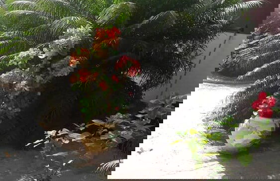 Maison Dhôte Abanna - Foto 13