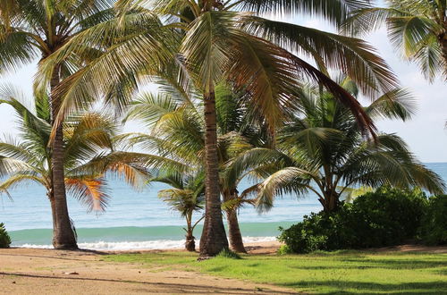 Photo 23 - Relaxing Oceanfront and Pool View Villa in Palmas del Mar Cb228