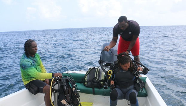 Passeios de barco