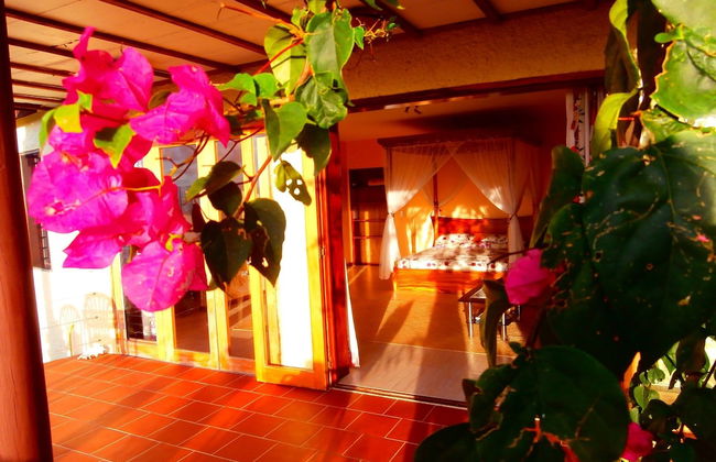 Korovesi Sunshine Villas - Foto 23