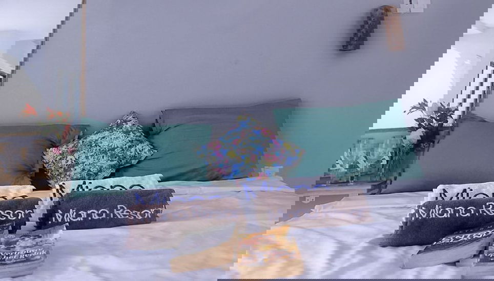 Imagem principal