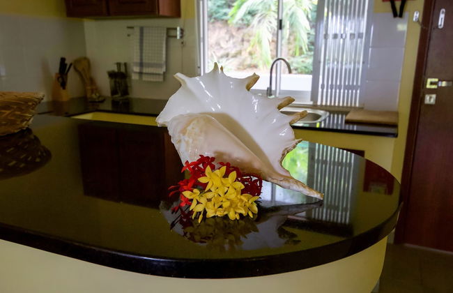 Surfers Self-Catering Chalets - Foto 7