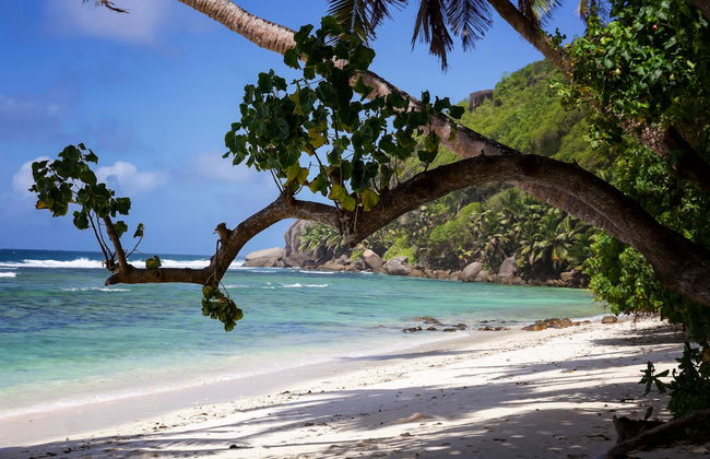 Surfers Self-Catering Chalets - Foto 27