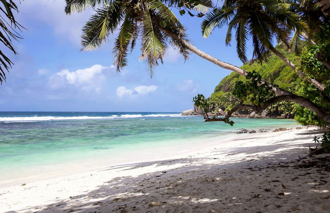 Surfers Self-Catering Chalets - Foto 23