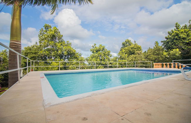 9 bed Villa Montego 10 Minute Walk to the Beach - Photo 34