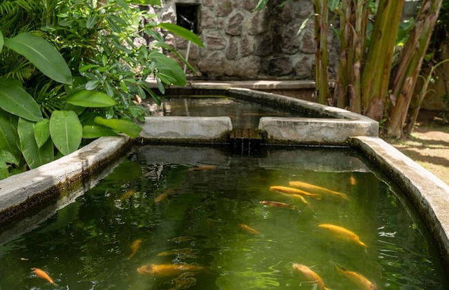 Felicie Cottage & Residence - Foto 27