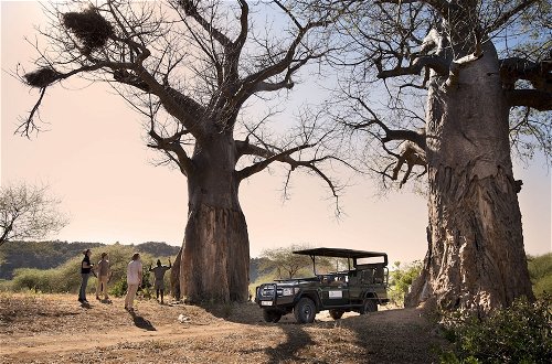 Foto 11 - Baobab Hill Bush House