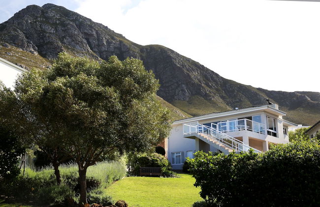 Home with an Ocean view - Photo 29