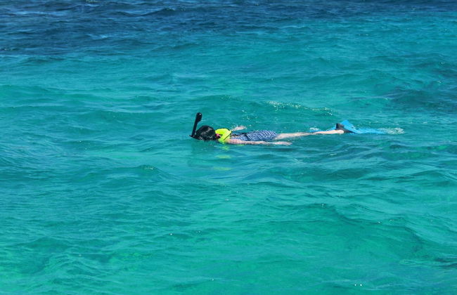 South Coast Horizons - Foto 65