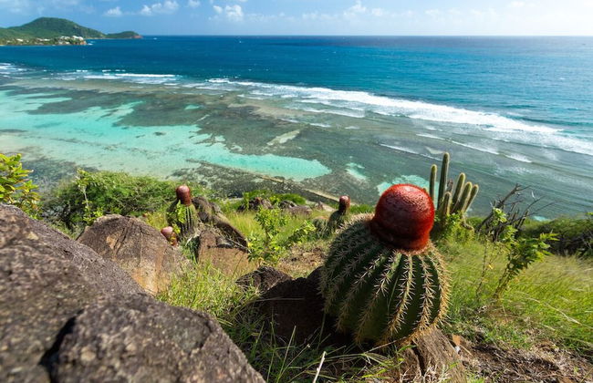 South Coast Horizons - Foto 68