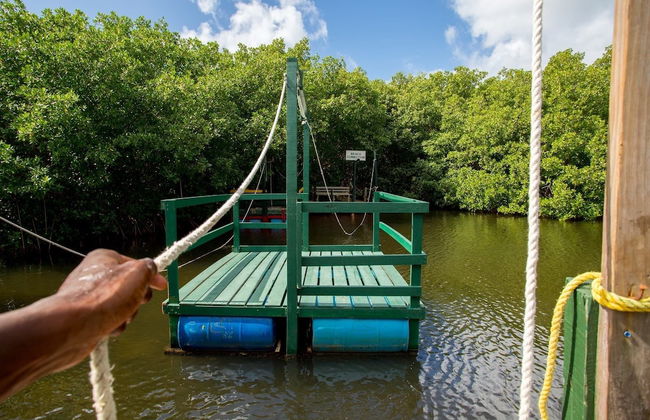 South Coast Horizons - Foto 75