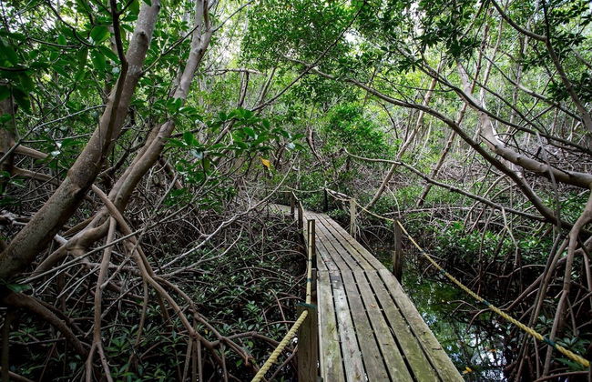 South Coast Horizons - Foto 77