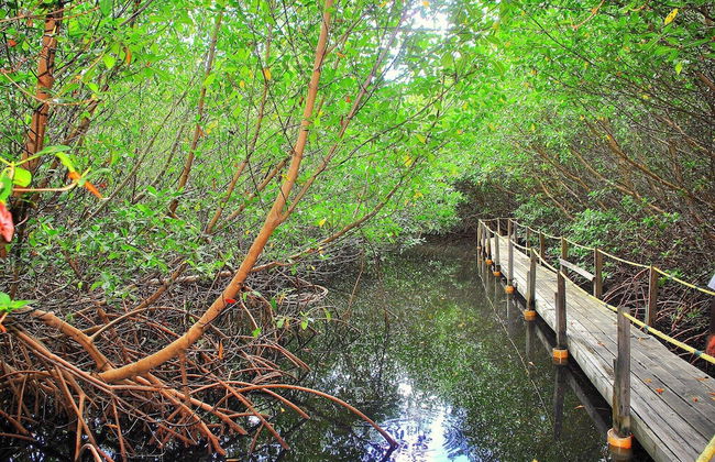 South Coast Horizons - Foto 72