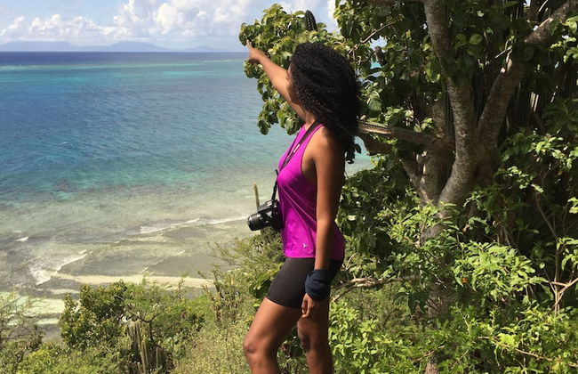 South Coast Horizons - Foto 66