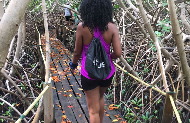 South Coast Horizons - Foto 78