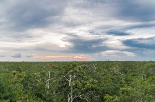 Photo 29 - Tulum 525 #306 By Lockey