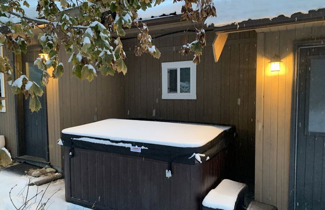 Barefoot Villas Cabin 2 Moose w/ Hot Tub - Foto 49
