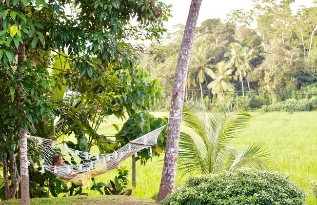 Family House Overlooking Rice Fields - Foto 17