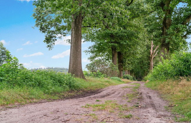 Cottage in Schijf With Garden - Foto 27