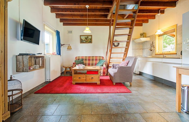 Cottage in Schijf With Garden - Foto 5