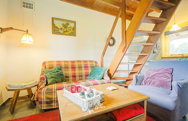 Cottage in Schijf With Garden - Foto 6